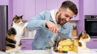 Calico Dog vs Cake! Hilarious Live Reaction  #Shorts #Viral #FunnyDogs