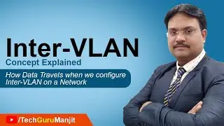 Router on a Stick Inter-VLAN Routing | How Data Travels when we configure Inter-VLAN on a Network