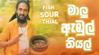 Easy fish ambul thial ( goraka curry )  😊🐟🥙 / sour fish curry 😊🐟@Mr.රයිසා