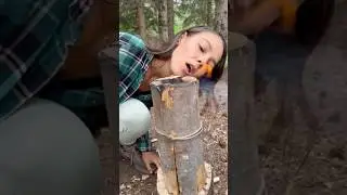 How to build wild stump fire 😱 #lifehack #camping #outdoors #campfire #survival