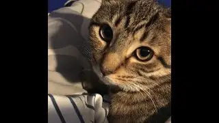 When You try to Fake your sickness