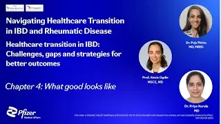 Chapter 4: Healthcare transition in IBD &ndash; What good looks like