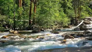 Autumn Forest Mood &ndash; Calming River, Water Sounds for Sleep & Focus, | Autumn Nature Atmosphere