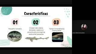 HETERODONTIFORMES