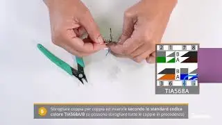 Come collegare un cavo dati CAT6 utilizzare un connettore CAT6 femmina U/UTP