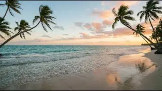 Tropical Beach Waves 4K 🌊 Pure Ocean Sounds for Deep Relaxation & Stress Relief