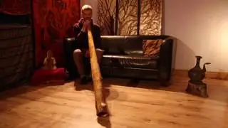 PrimeDidge Didgeridoo No. 47
