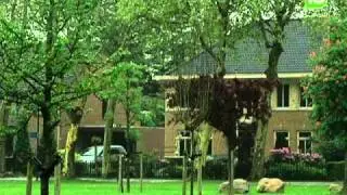 Ook Raad van State vernietigt projectbesluit Oerlezuid