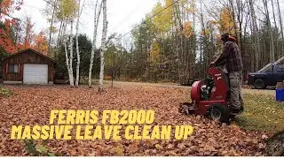Massive leaf cleanup done solo | Walker Mower | Ferris FB200 | Echo PB8010
