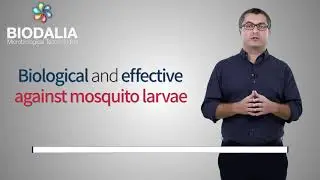 Welcome to BioDalia Microbiological Technologies