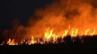 Hasiči - Požiar porastu Malacky (Field fire)