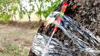 SKY ROCKETS VS TREE AND TAPE DHMAKKA 🚀🚀🚀