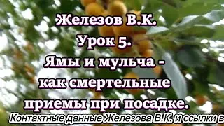 Железов В.К. Урок 5. Ямы и мульча - как смертельные приемы при посадке.
