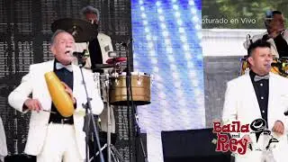 Cajita Musical Conjunto Africa en vivo