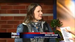 Electric Safari coming to Cheyenne Mountain Zoo