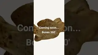 New app Bones 360' - will be released soon.