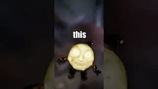 THE SLEEPY MOON!