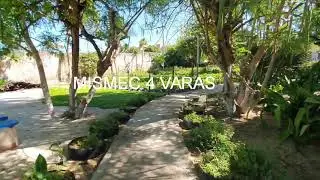 A BELEZA DA SIMPLICIDADE | Projeto 4 Varas