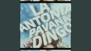 La Antonia