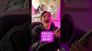 Мошенники крысы требуют КОД из СМС
