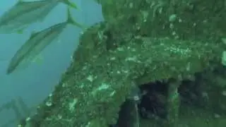 HMAS Adelaide - Dive Briefing