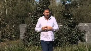The West Real Estate Program on ch7 Ep.21 - Show Opener