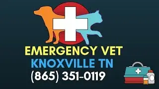 Animal Emergency Care Knoxville Tennessee | 24 Hour Vet Clinic Knoxville TN |(865) 351 0119