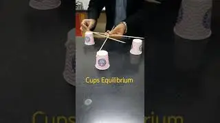 Cups Equilibrium |🍵|🍵|#shorts #equilibrium #scienceexperiment #physics #experiment