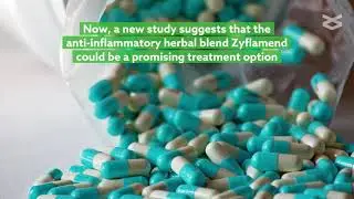 Zyflamend induces apoptosis in pancreatic cancer cells