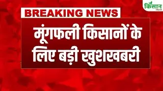 #BreakingNews: Peanuts will fetch good prices, peanut imports from India will resume again | Grou...