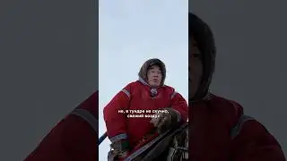 В тундре СКУЧНО НЕ БЫВАЕТ #крайнийсевер #ямал #тундра