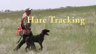 JGHV VJP Breed Test TRAILER