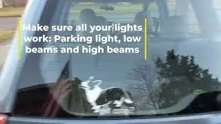 Daily Safety Checks (check description)