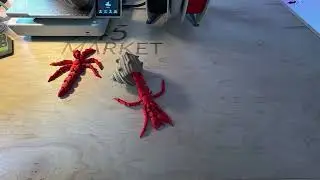 Hermit Crab Escape
