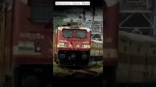 CLASSIC Looking THUNDERBOLT WAP 4 !! #electriclocoshed #indianrailways #shorts