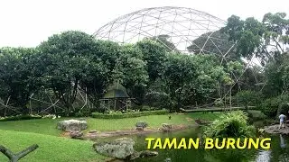 Taman Burung - Bird Park - Jakarta - TMII