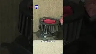 Police arrest alleged 