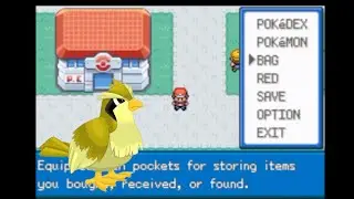 Can a small pidgey make fly to another town?