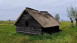 Peat? Peat. Peat!