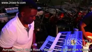 James Ross @ Aunyae Heart & The Black Rose - 
