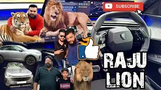 RAJU LION🦁 | FAIZI WILDLIFE FARM🏆👈 | ROMEO 🦁 | WWF Waqas WildLife Farm | Nouman Hassan👑🐯|Mian Saqib