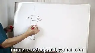 Ротации ноги.Фрагмент обучающего видеокурса.