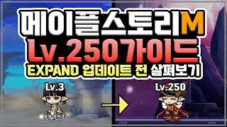 EXPAND 업데이트 후 이렇게만 하세요! Lv.250 레벨업 가이드 | 메이플스토리M | 공략대장