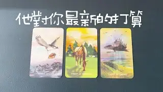 他對你最新的想法打算，不想讓你知道事兒，希望你怎麼做？|曖昧|愛情|戀愛|桃花|塔羅占卜|