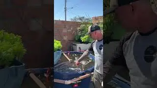 Fertiliza&ccedil;&atilde;o com ferro das plantas?