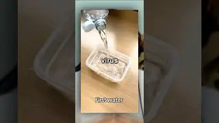 Guy Tried To Create a Virus 🦠