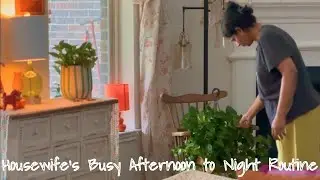 HOUSEWIFE ROUTINE | Afternoon to Night Routine | Indoor Plants | Quick Lunch Recipes
