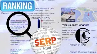 Houston SEO Expert | SEO Houston