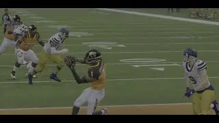 Bulls 3-4 vs Tigers 4-2 Week 8