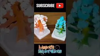 National Geographic Crystal Garden Time Lapse